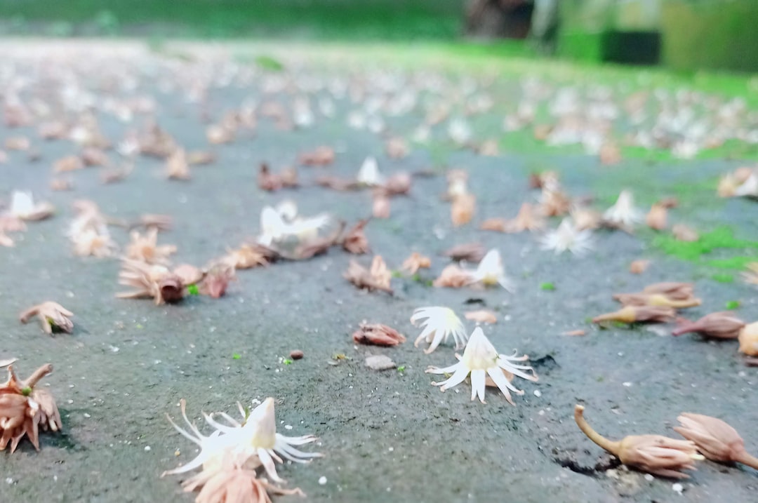 Bacula, why backups fail at night, air-gapped copies and encrypted repositories guide