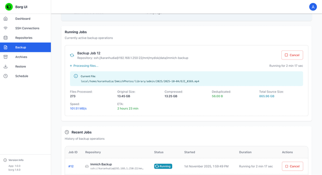 BorgBackup, how to restore from snapshots, dedupe backup repositories with encryption at rest